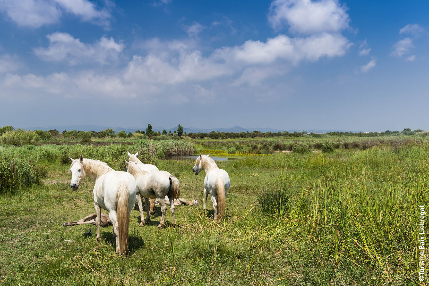 Un cadre naturel avec des espaces uniques